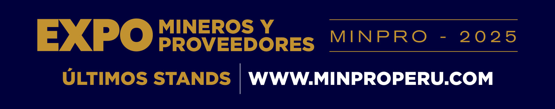 Banner 1900 X 375 copy (2)